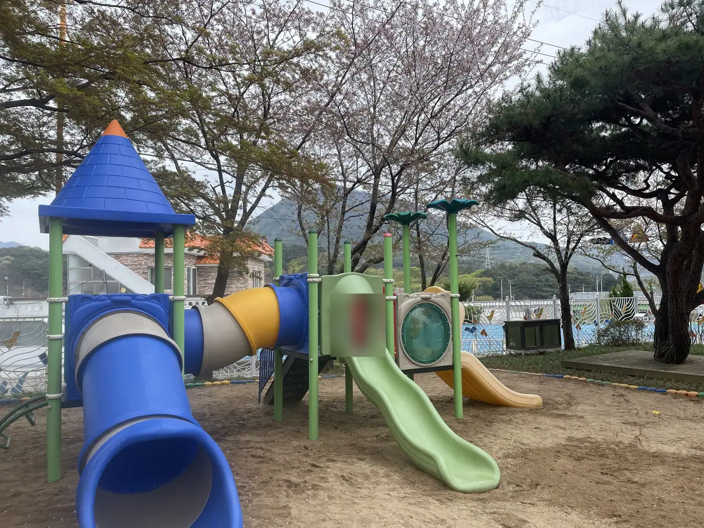 세척을 마친 뒤 모래밭 위에 선 복합 놀이대와 뒤편 소나무 전경