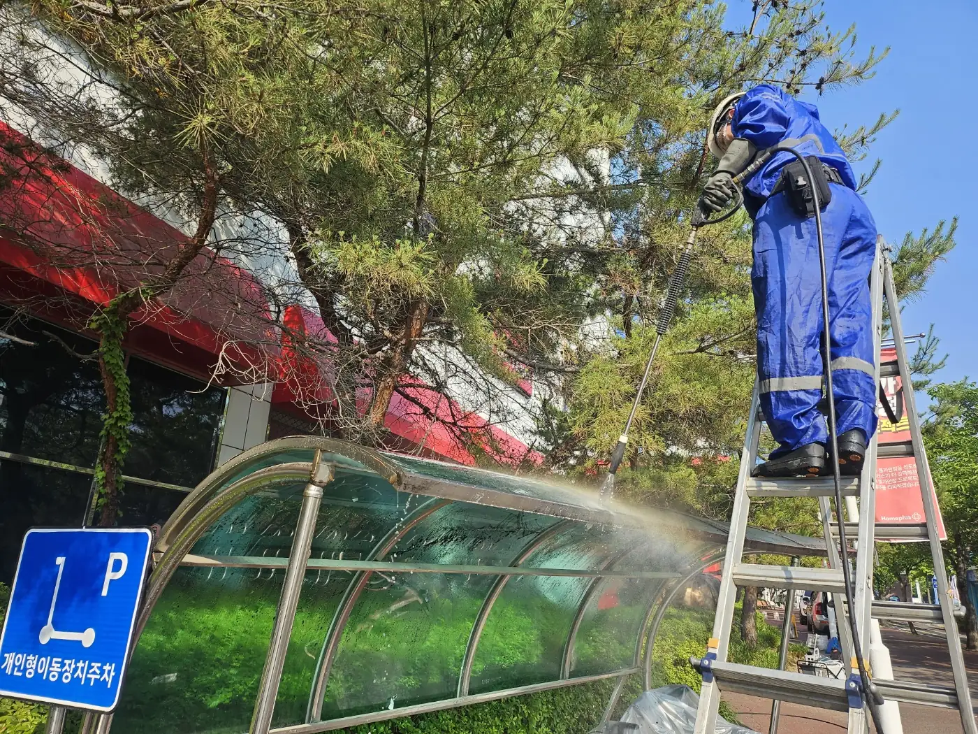 대구 렉산·캐노피청소 작업 사진